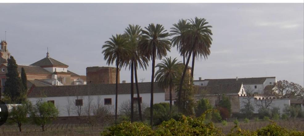 Apartamento Turistico Damajuana Parking Free إسبارتيناس المظهر الخارجي الصورة